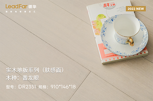 嘉兴番龙眼DR2351