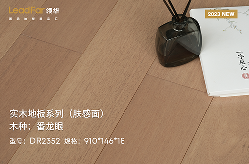 嘉兴番龙眼DR2352