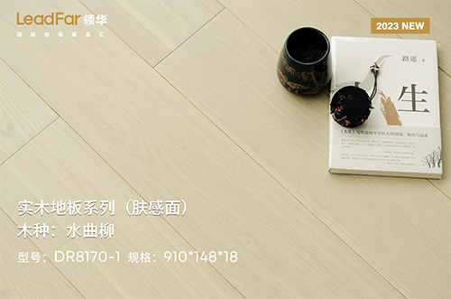 嘉兴水曲柳DR8170-1