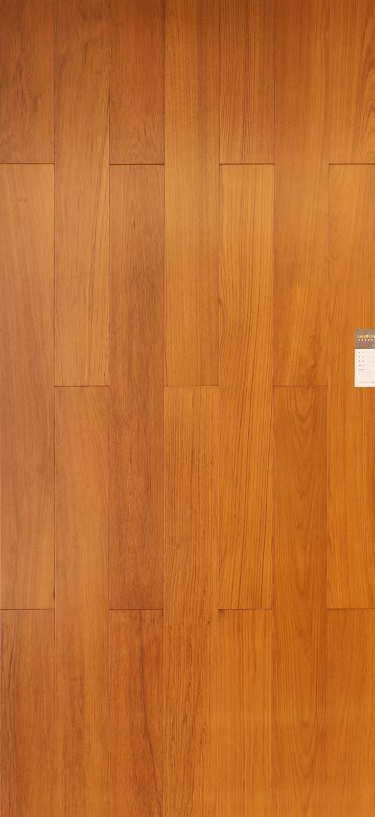 DR605-2 缅甸柚木