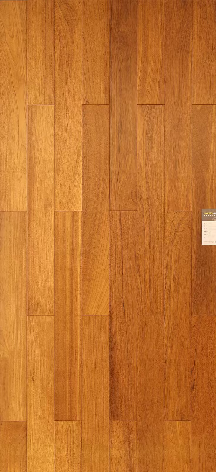 DR606-1 缅甸柚木