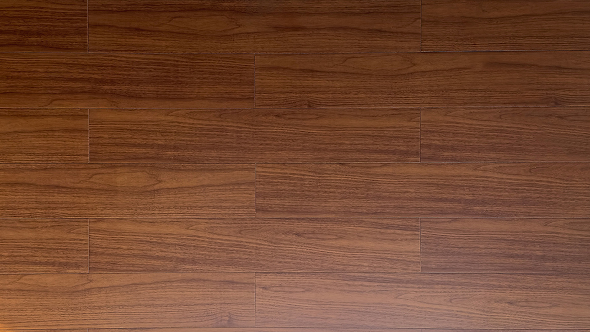 湖州LH2339 番龙眼