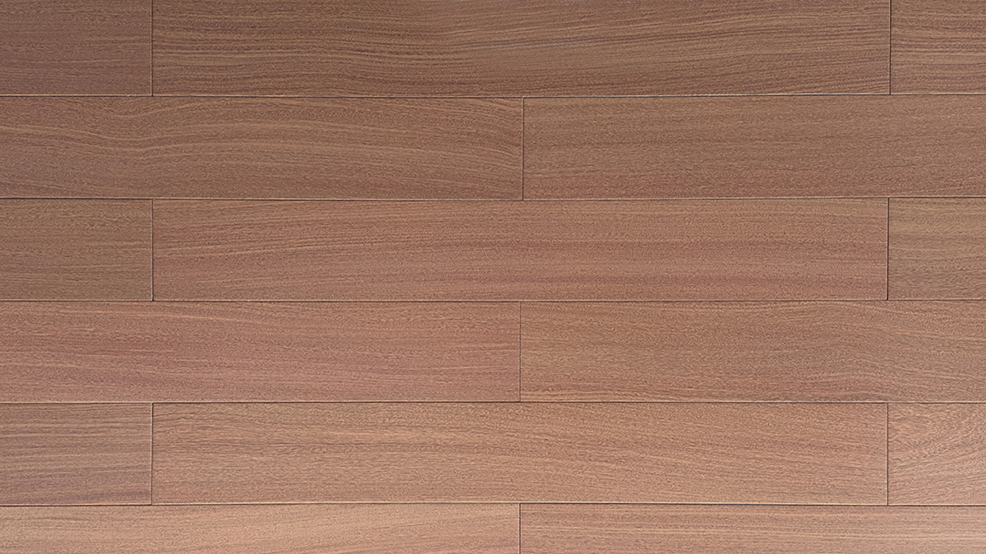 湖州LH099 圆盘豆