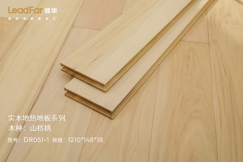 邢台dr051-1