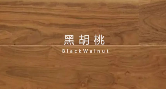 1687270355628162.png image.png